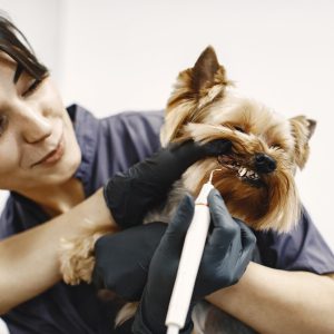 Nail Trim
