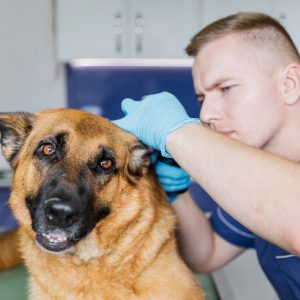 Nail Trim